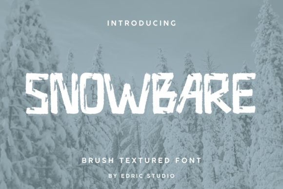 Choosing the Right Font for Your Website: A Snowbare Story